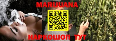 сатива Вышний Волочёк