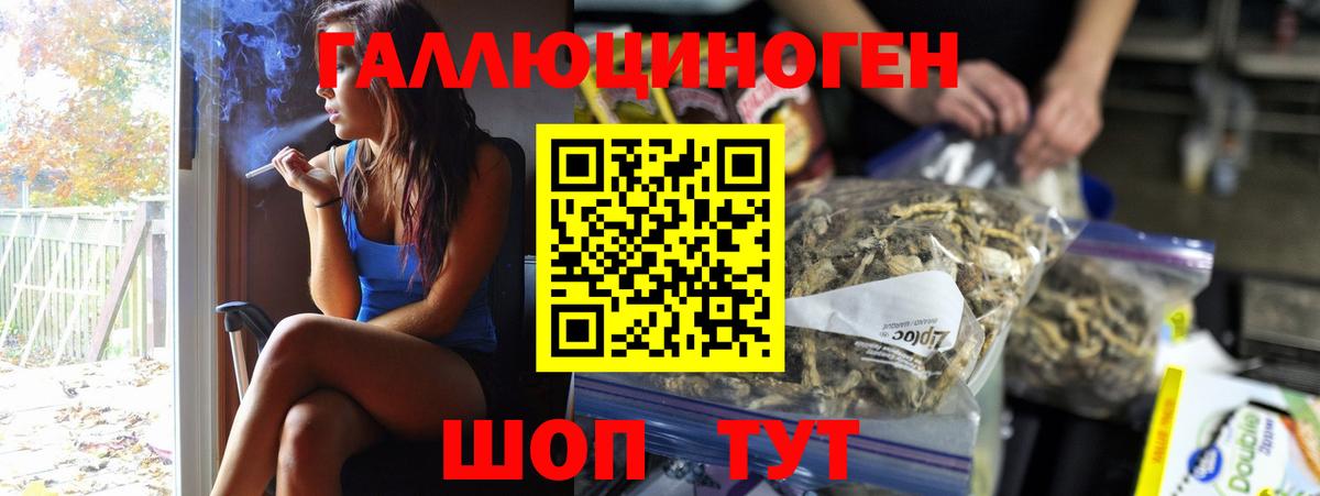Псилоцибиновые грибы Psilocybine cubensis Кандалакша